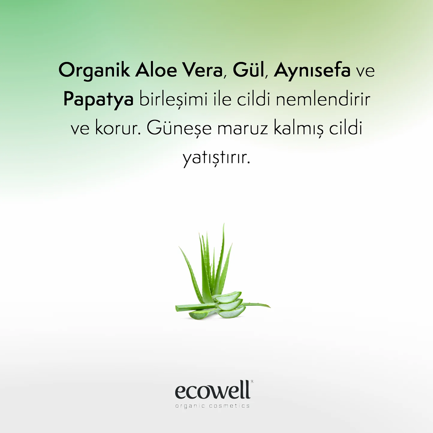 Sertifikalı Organik Aloe Vera Jel - 200 ml